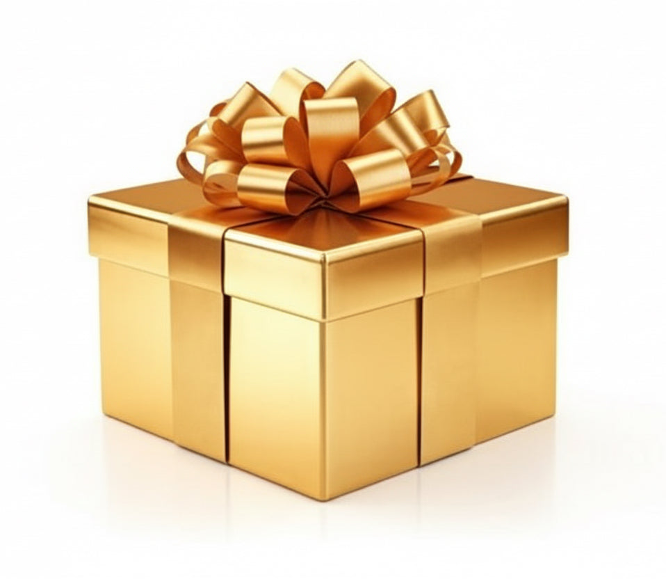 Large Ebike Gift Box